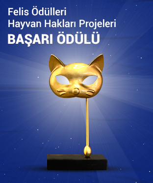 FELİS Ödülleri Hayvan Hakları Projeleri BAŞARI ödülü